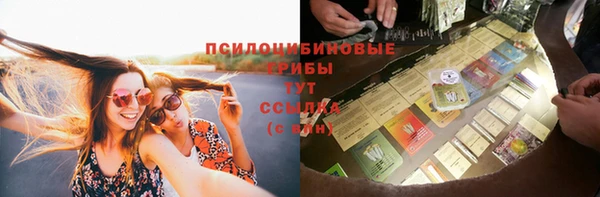 MDMA Ельня