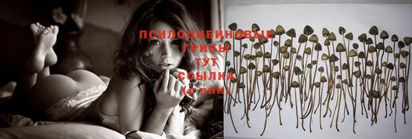 MDMA Ельня