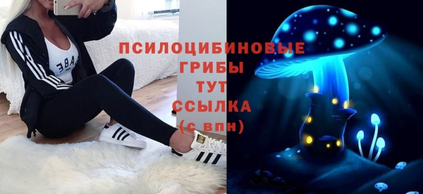 MDMA Ельня